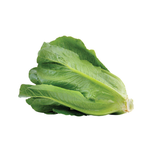 Lettuces