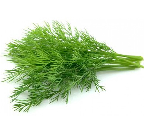 Dill